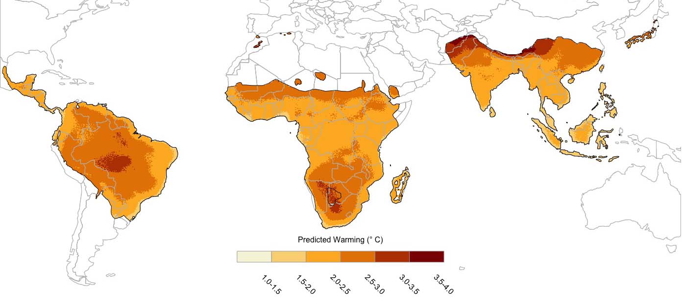 Primate responses to changing environments. | Urs Kalbitzer