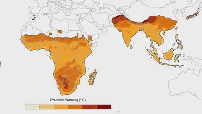 Primate responses to changing environments. featured image