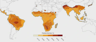 Primate responses to changing environments. featured image